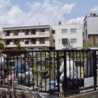 寿々木園の写真・動画_image_176892