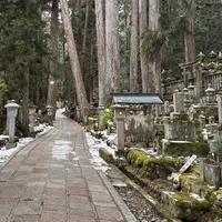 奥之院の写真・動画_image_1769588