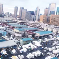 東京都中央卸売市場築地市場の写真・動画_image_177034