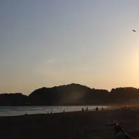 由比ガ浜海水浴場の写真・動画_image_177101