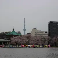 上野恩賜公園（上野公園）の写真・動画_image_177129