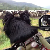 星野リゾート リゾナーレトマムの写真・動画_image_177134