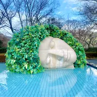 彫刻の森美術館の写真・動画_image_1772413