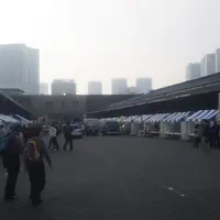 東京都中央卸売市場築地市場の写真・動画_image_177265