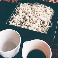 竹やぶの写真・動画_image_177304