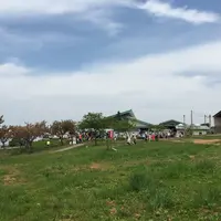 くろべ牧場まきばの風の写真・動画_image_177414