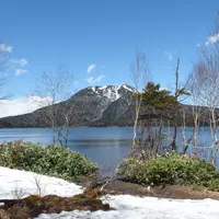 尾瀬の写真・動画_image_177506