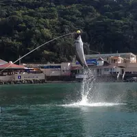 下田海中水族館の写真・動画_image_177653
