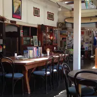 スパイスドッグ （Spicedog） の写真・動画_image_177655