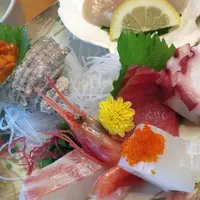 鵜の岬の写真・動画_image_177671