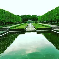 国営昭和記念公園の写真・動画_image_177760