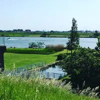 江戸川河川敷緑地の写真・動画_image_177780