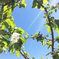笛吹川フルーツ公園・フルーツセンターの写真・動画_image_177916
