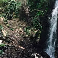 不動滝の写真・動画_image_178355