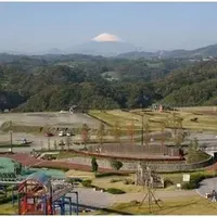中井中央公園の写真・動画_image_178412