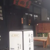 魚四季の写真・動画_image_178502