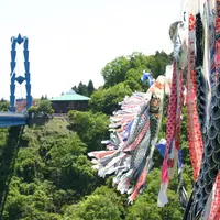 竜神大吊橋の写真・動画_image_178508