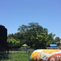 ヒノトントンZOO (羽村市動物公園)の写真・動画_image_178557