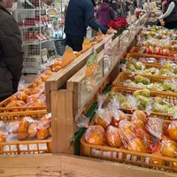 古賀市コスモス館の写真・動画_image_1785828