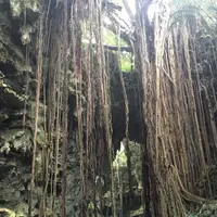 ガンガラーの谷の写真・動画_image_178666
