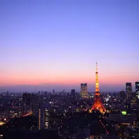 【閉業】世界貿易センタービル展望台の写真・動画_image_178797