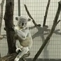 東京都多摩動物公園の写真・動画_image_178917