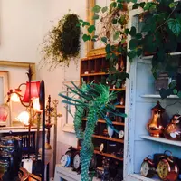 Arbre（アルブル）の写真・動画_image_178929