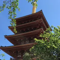 金剛寺（高幡不動尊）の写真・動画_image_178931