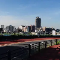 いろは坂の写真・動画_image_178974