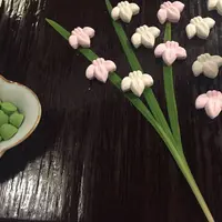 三谷製糖 羽根さぬき本舗の写真・動画_image_179061