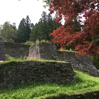 岩村城跡の写真・動画_image_179069