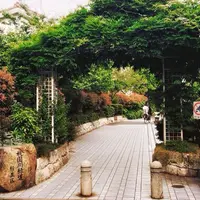 阿佐ヶ谷駅の写真・動画_image_179297