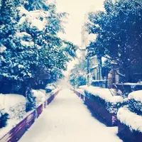 桃園川緑道の写真・動画_image_179308