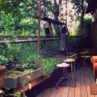 cafe momo gartenの写真・動画_image_179312