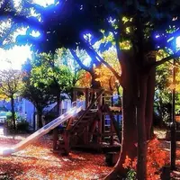 桃園川緑道の写真・動画_image_179313