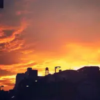 桃園川緑道の写真・動画_image_179319