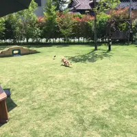 山崎町田井２２８の写真・動画_image_179387