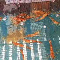 道の駅 とぎ海街道の写真・動画_image_179580