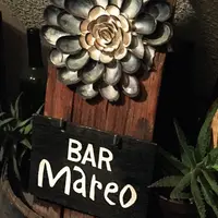 mareoの写真・動画_image_179586