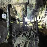 日原鍾乳洞の写真・動画_image_179658