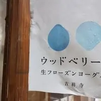 ウッドベリーズ 吉祥寺店の写真・動画_image_179693