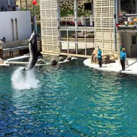 城崎マリンワールドの写真・動画_image_179795