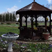 紫竹ガーデン遊華の写真・動画_image_179871