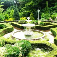 アカオハーブ＆ローズガーデンの写真・動画_image_180123