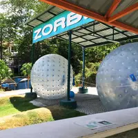 Rollerballの写真・動画_image_180228