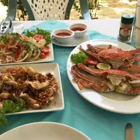 タラーンの写真・動画_image_180234