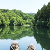 大正池の写真・動画_image_180357