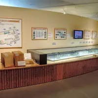 木材・合板博物館の写真・動画_image_180379