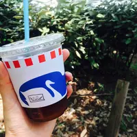 ブルースカイコーヒーの写真・動画_image_180541