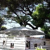 Cafe Madu ENOSHIMAの写真・動画_image_180762